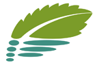 Owl Image